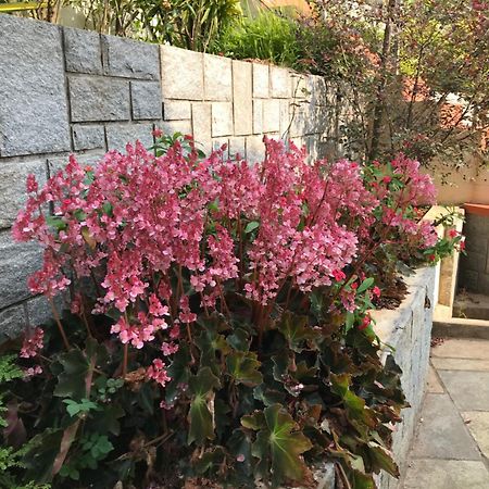 Robin Woods Homestay サクルシュプール エクステリア 写真