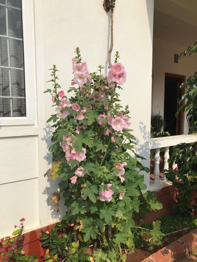 Robin Woods Homestay サクルシュプール エクステリア 写真