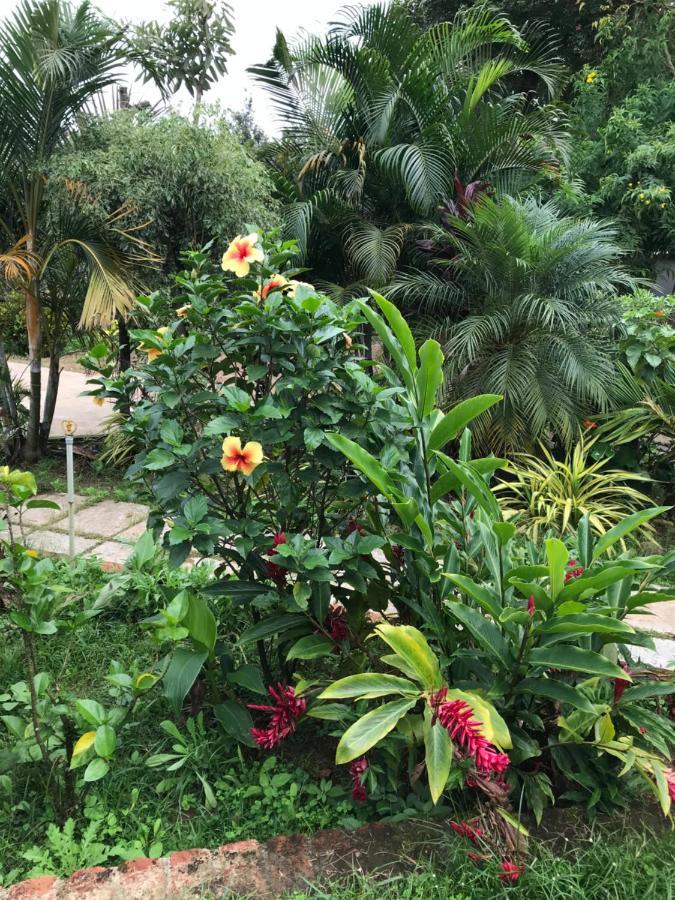 Robin Woods Homestay サクルシュプール エクステリア 写真