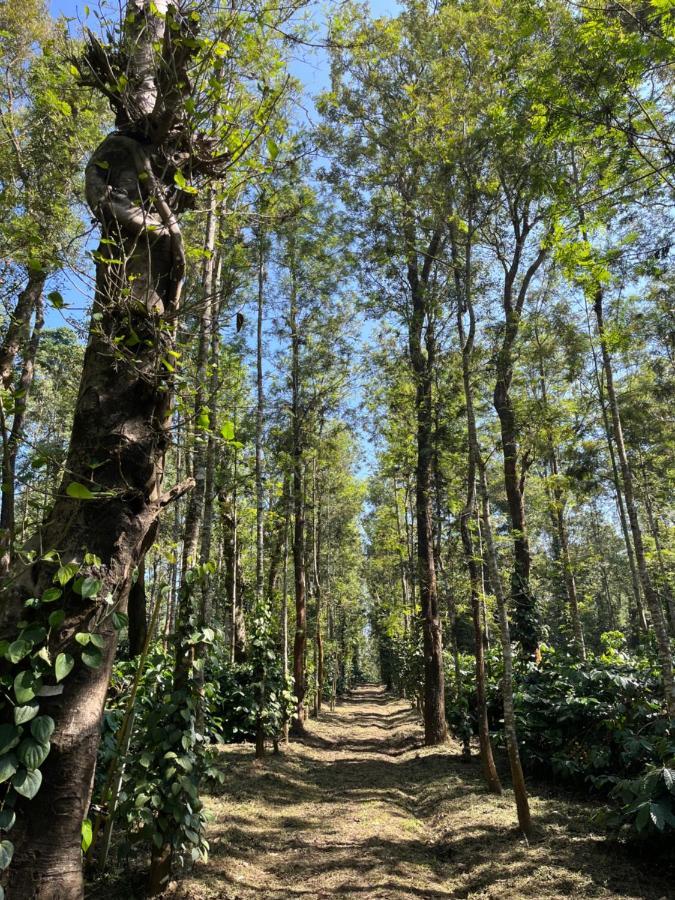 Robin Woods Homestay サクルシュプール エクステリア 写真
